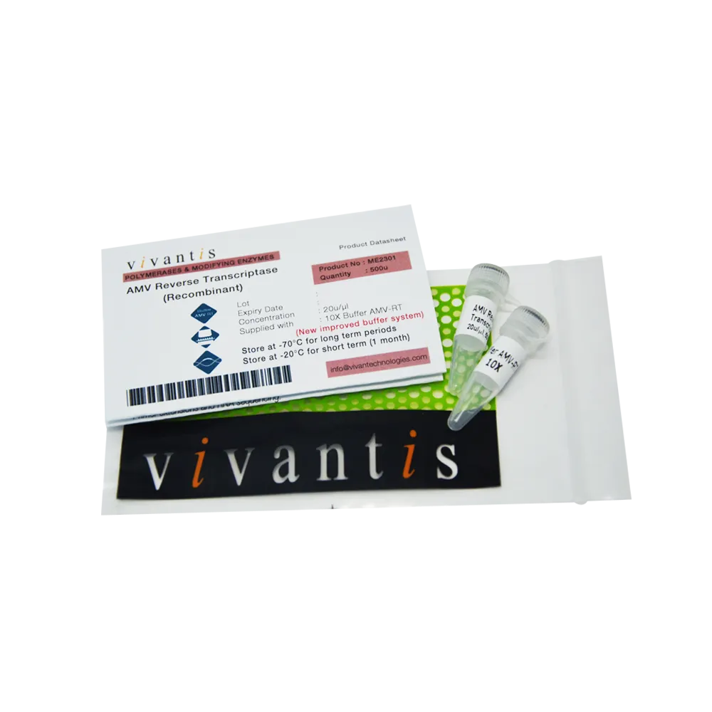AMV Reverse Transcriptase (Recombinant), 500 U - image 1