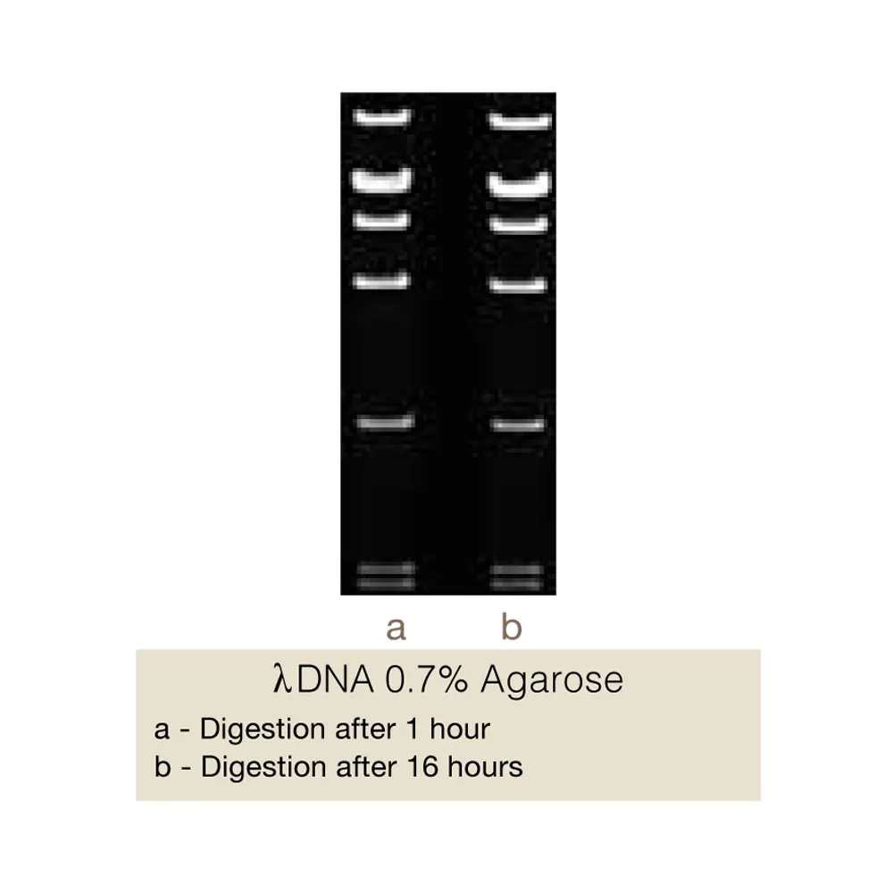 Bpu14I, 500U - image 1