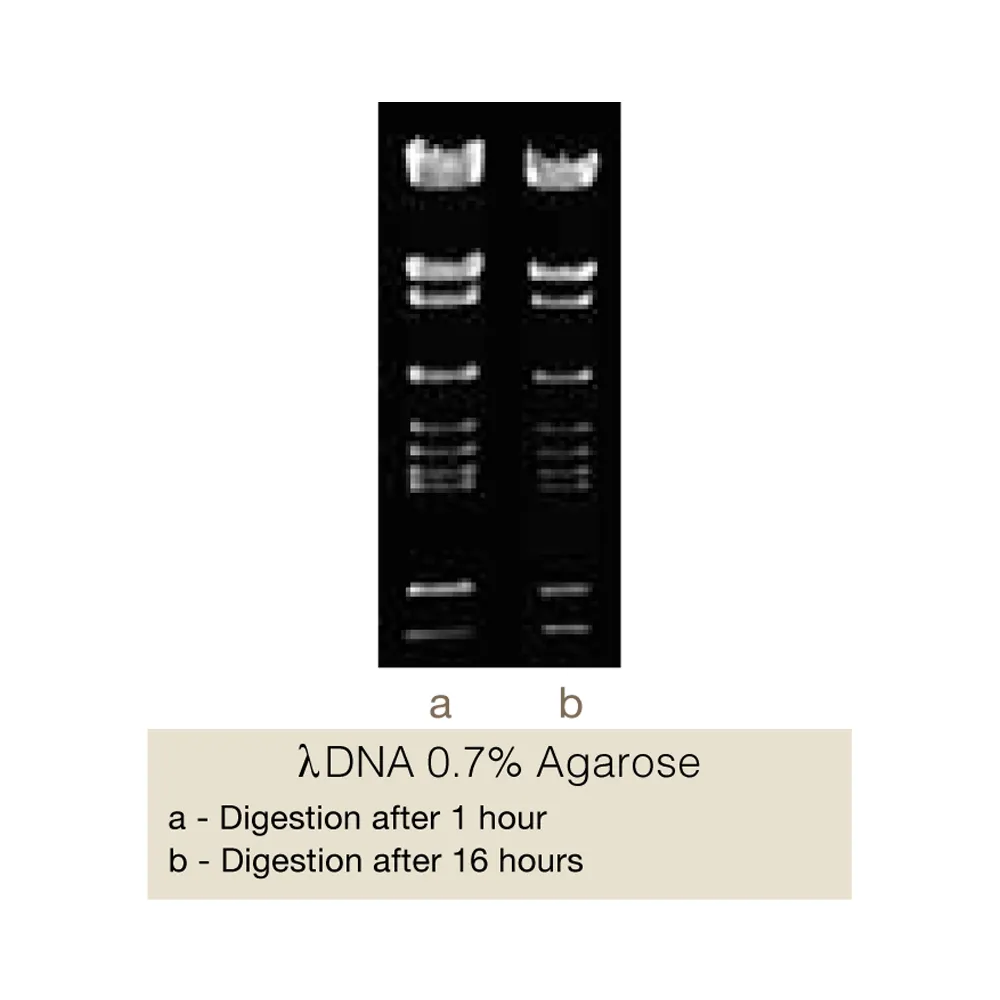 BshVI, 400U - image 1