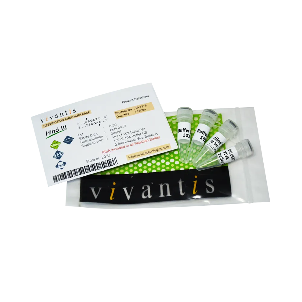 HindIII, 2500U - image 1
