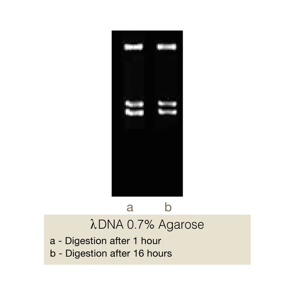 Vha464I, 600U - image 1