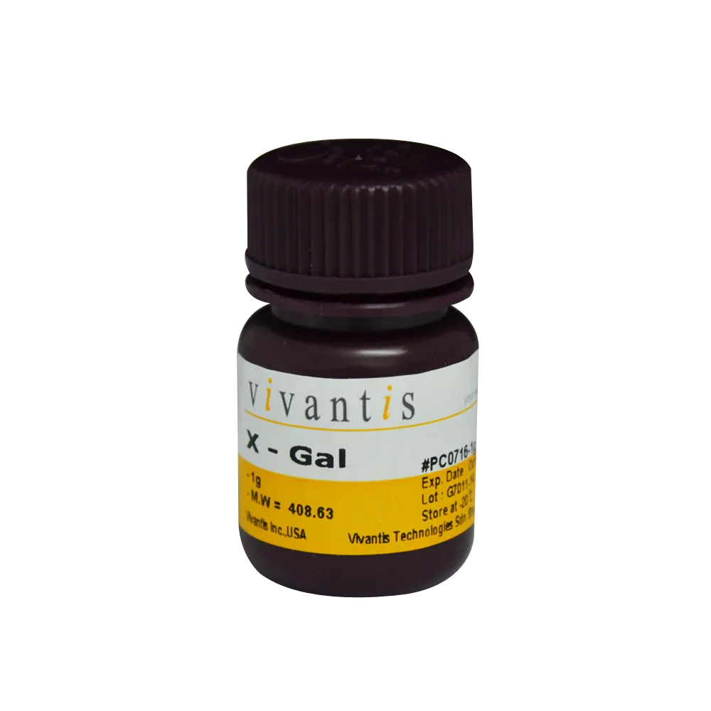 X-Gal (5-Bromo-4-Chloro-3-Indolyl-beta-D-galactopyranoside), 1 g - image 1