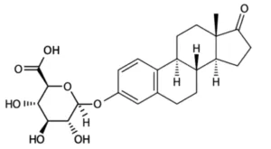Estrone-3-Glucuronide (E1G) ELISA Kit - image 2