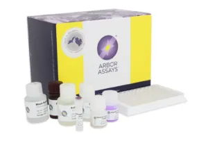 Progesterone ELISA Kit - image 1
