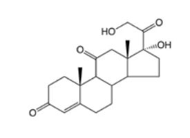 Cortisone ELISA Kit - image 2