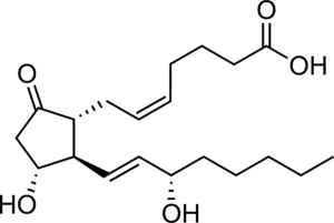PGE2Multi-Format ELISA Kit - image 2