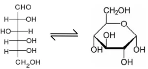Glucose Fluorescent Detection Kit - image 2