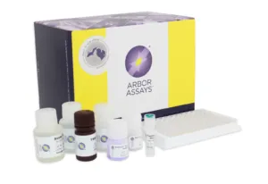 Testosterone ELISA Kit - image 1