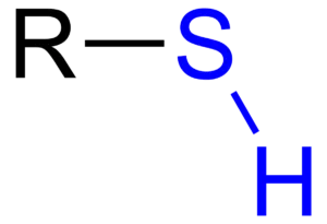 Thiol Fluorescent Detection Kit - image 2