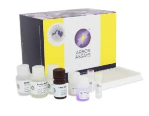 Cortisol ELISA Kit - image 1