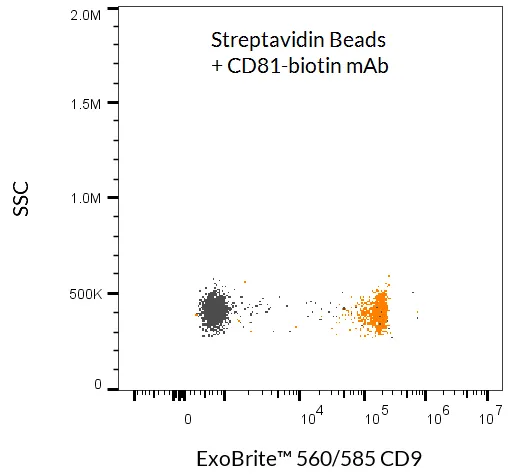 ExoBrite™ Streptavidin Magnetic Beads - image 4