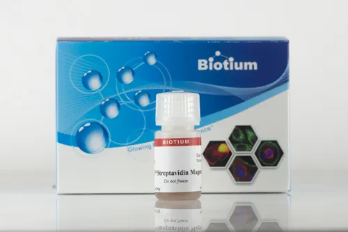 ExoBrite™ Streptavidin Magnetic Beads - image 1