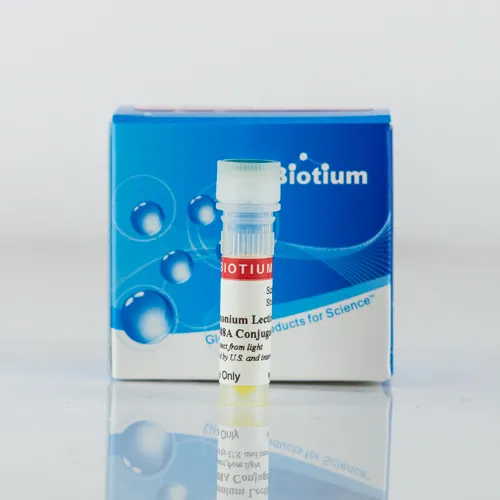 Datura Stramonium Lectin (DSL), Biotin Conjugate - image 1