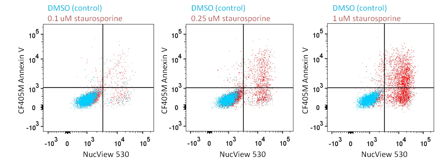 NucView® 530 Caspase-3 Substrate, 1 mM in DMSO, Trial Size - image 11