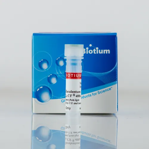 Lycopersicon Esculentum (Tomato) Lectin (LEL, TL), Biotin Conjugate - image 1