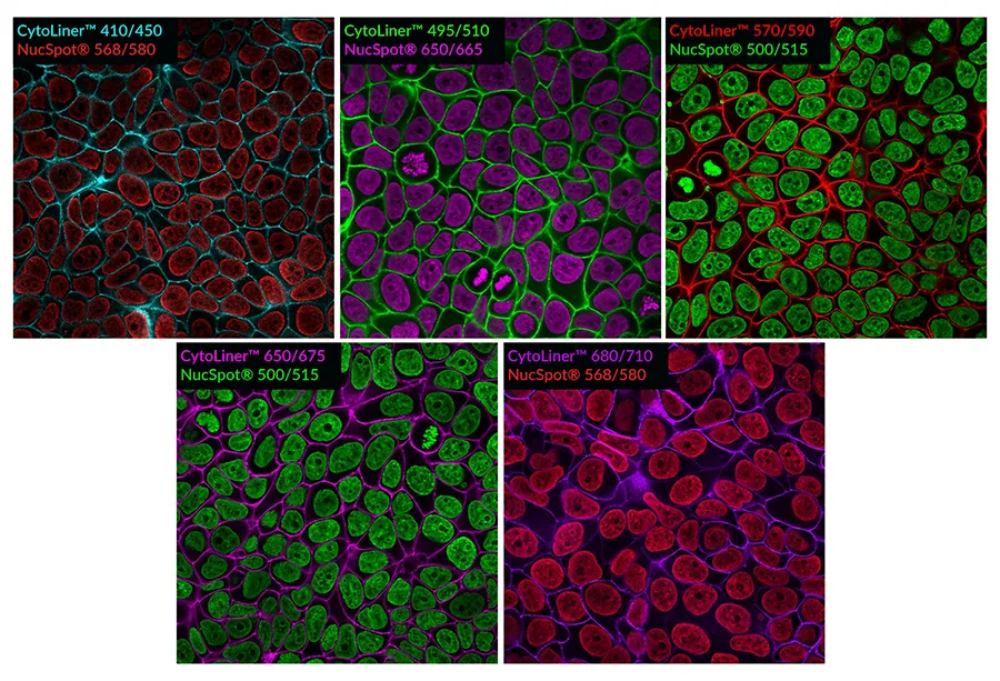 CytoLiner™ 680/710 Fixed Cell Membrane Stain, 1000 labelings - image 4