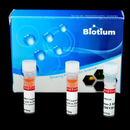 NucView® 488 Caspase 3 Assay Kit, Trial Size - image 1