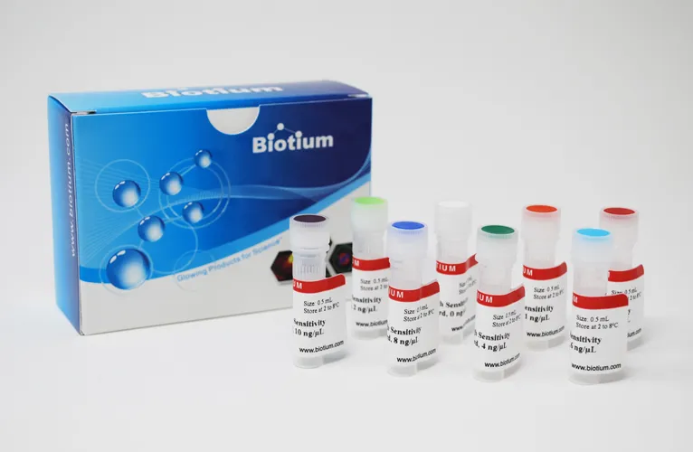 AccuBlue® High Sensitivity dsDNA Standards, set of eight, 0.5 mL each - image 1