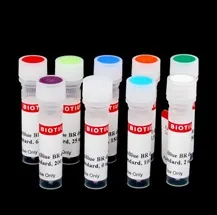 AccuBlue® Broad Range dsDNA Quantitation Standards, set of nine, 0.5 mL each - image 1
