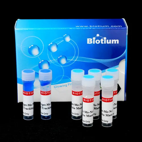 Forget-Me-Not™ Universal Probe Master Mix with ROX (500 reactions) - image 1