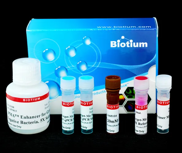 PMA Real-Time PCR Bacterial Viability Kit - E. coli (uidA) PMAxx™ - image 1