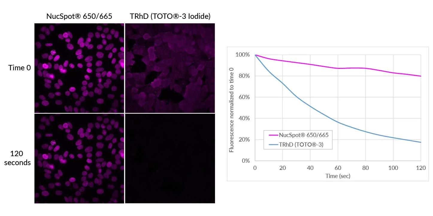 NucSpot® 555/570, 1000X in DMSO (trial size) - image 6