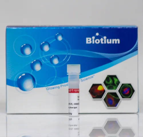 NucSpot® 555/570, 1000X in DMSO (trial size) - image 1