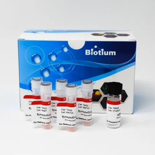 Nerve Terminal Staining Kit IIB - image 1