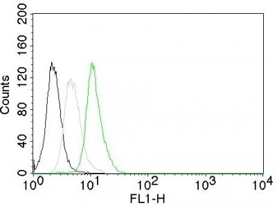 Anti-Cyclin D1(CCND1/809), CF740 conjugate - image 3