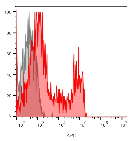 CD8 (RIV11), 0.2mg/mL - image 1