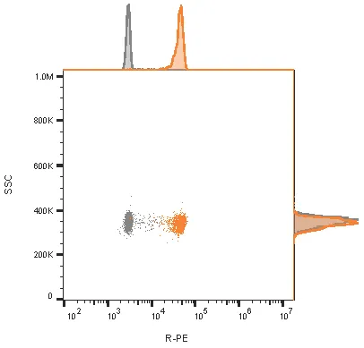 CD81 / TAPA-1 (1.3.3.22), CF740 conjugate, 0.1mg/mL - image 2