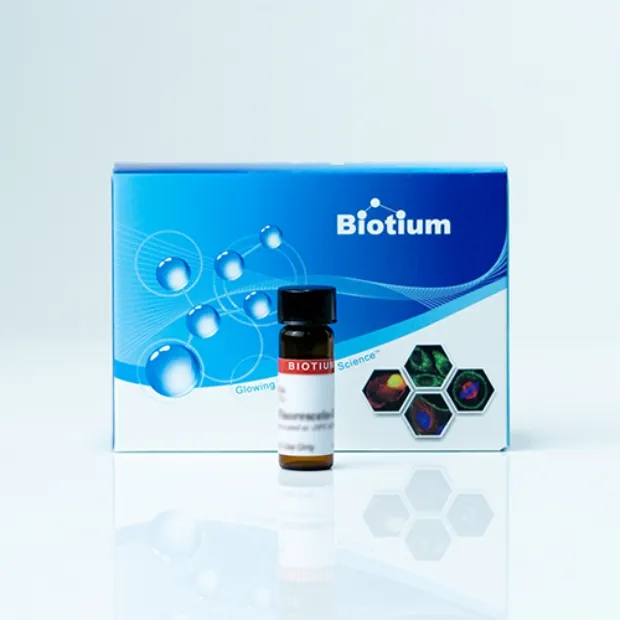 DIHYDROETHIDIUM - image 1