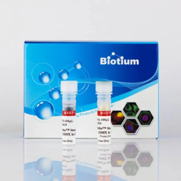 this is the product image placeholder