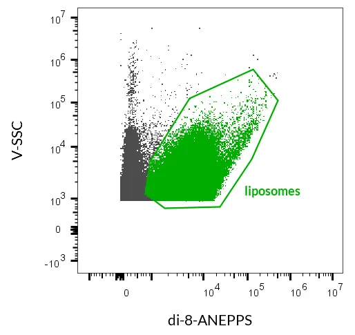 DI-8-ANEPPS - image 3