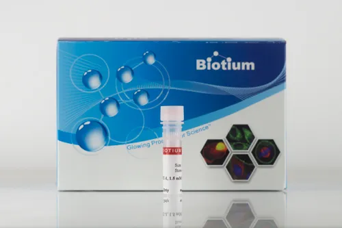AquaphileTM JC-1, 1,5 mM in DMSO