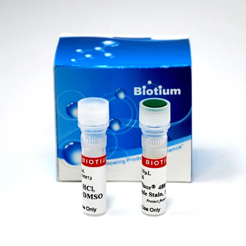 ViaFluor® 488 Live Cell Microtubule Stain