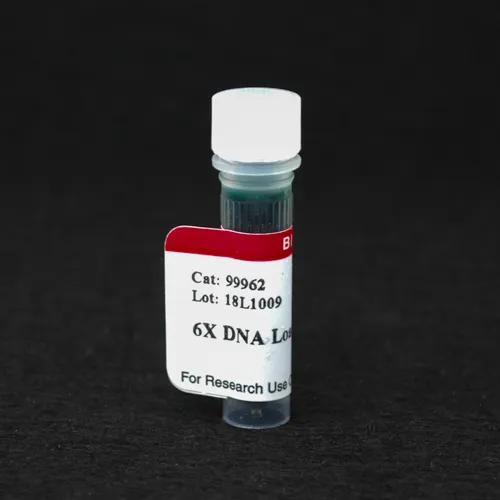 6X DNA Loading Buffer (Orange) - image 1
