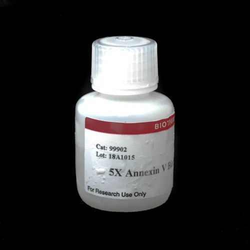 5X Annexin V Binding Buffer - image 1