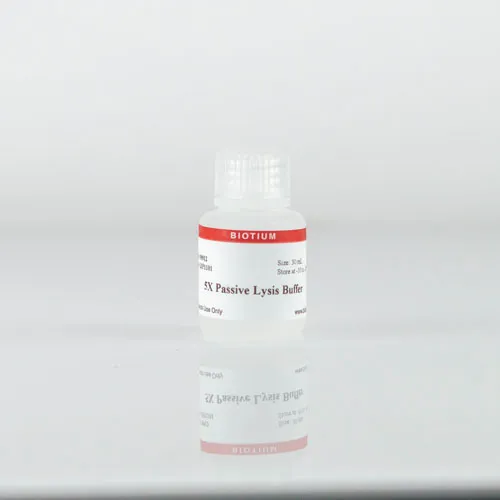 5X Passive Lysis Buffer - image 1