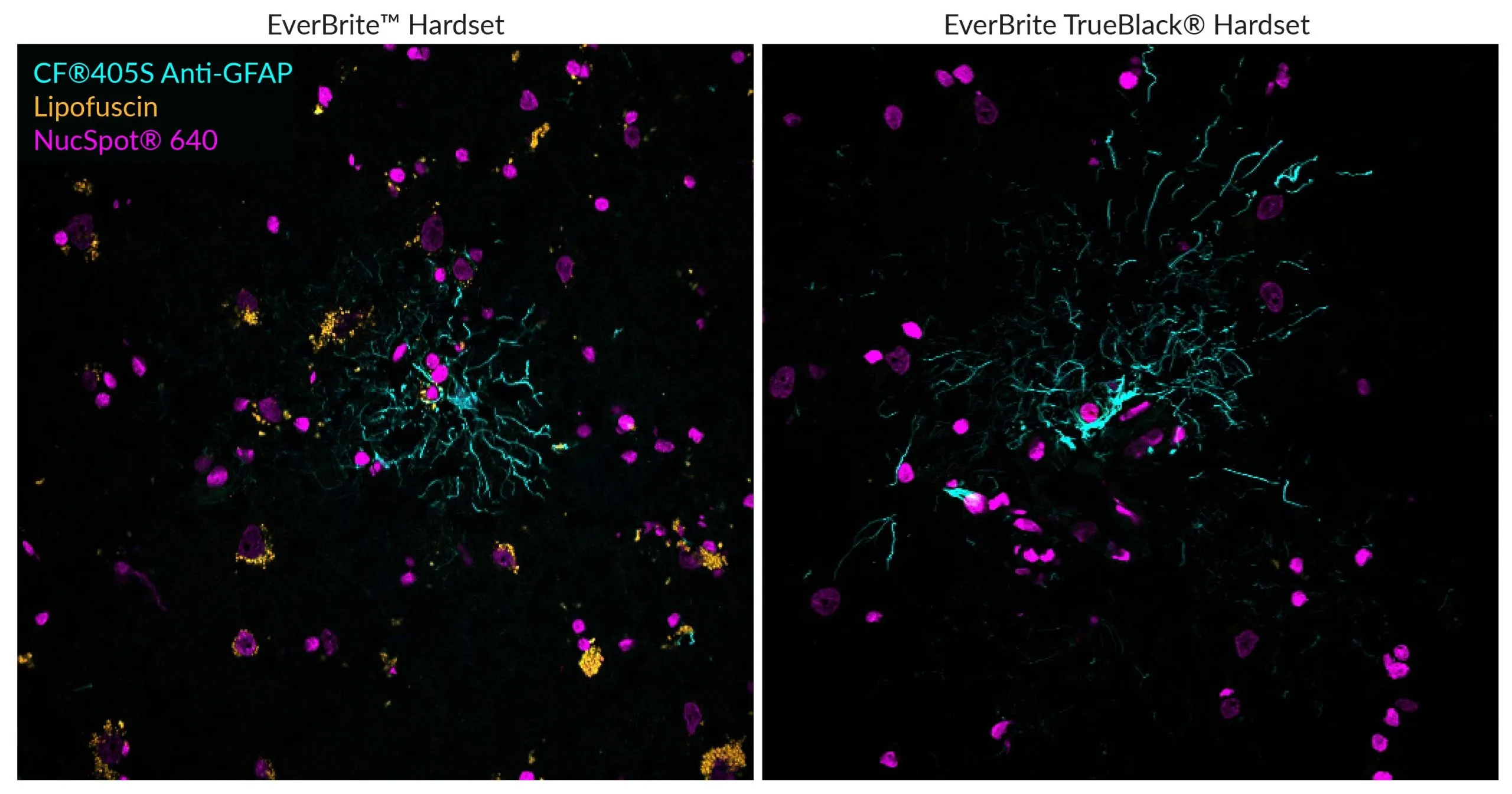EverBrite TrueBlack® Hardset Mounting Medium - image 4