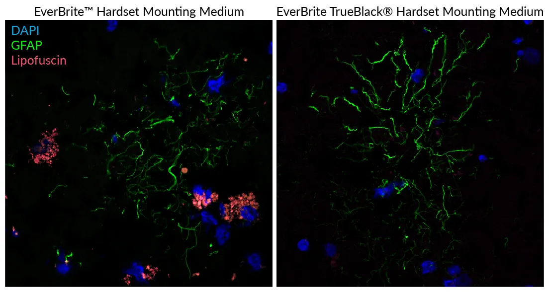 EverBrite TrueBlack® Hardset Mounting Medium - image 5