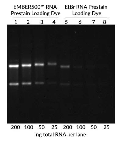 EMBER500™ RNA Prestain Loading Dye - image 2