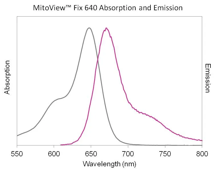 MitoView™ Fix 640 - image 8