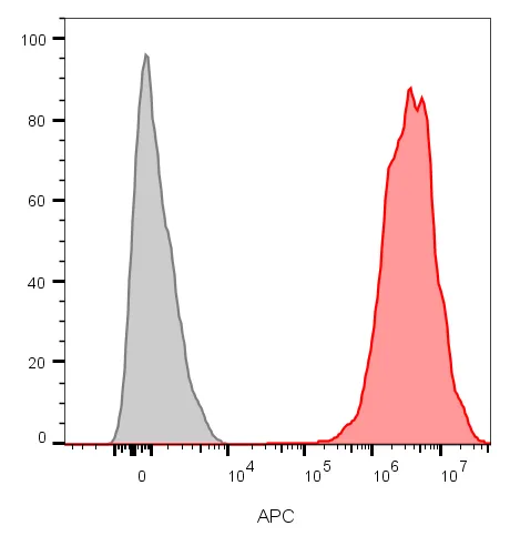 Anti-CD9 (TSPAN29) (Motility-Related Protein-1)(CD9/1619) - image 2