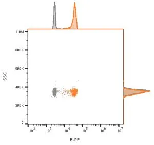 Anti-CD9 (TSPAN29) (Motility-Related Protein-1)(CD9/1619) - image 3