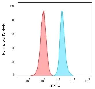 Anti-Ki-67 (Proliferating Cell Marker)(MKI67/2466) - image 4