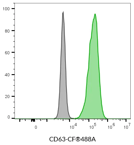 Anti-CD63 Mouse Monoclonal Antibody (H5C6), R-PE Conjugate - image 5
