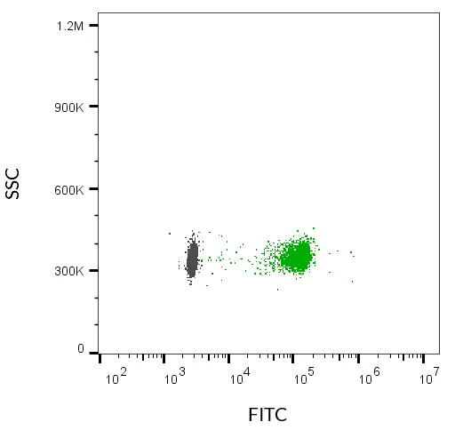 ExoBrite™ 560/585 IgG1 Isotype Control Flow Antibody (100 tests) - image 2