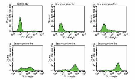 NucView® 488 Caspase-3 Substrate, 1mM in DMSO - image 12