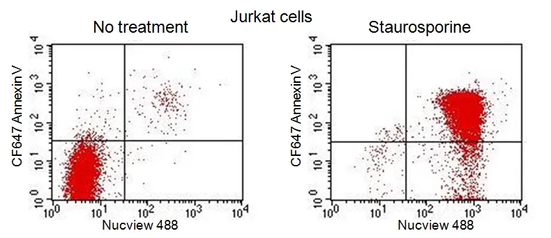 NucView® 488 Caspase-3 Substrate, 1mM in DMSO - image 13